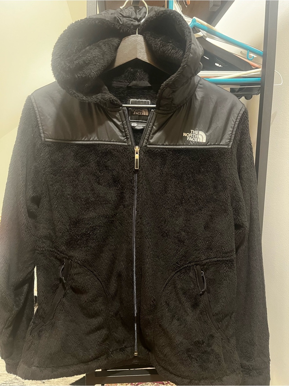 The North Face Black Hooded Fleece Jacket